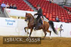 15BUCK_03558 proof