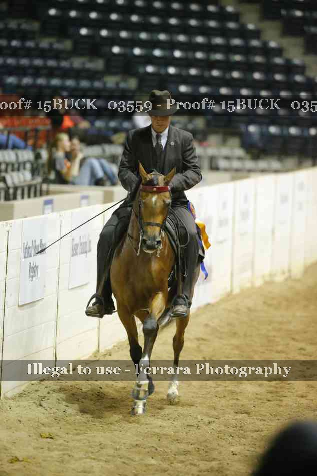 Proof 15BUCK_03559