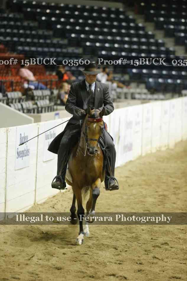 Proof 15BUCK_03560