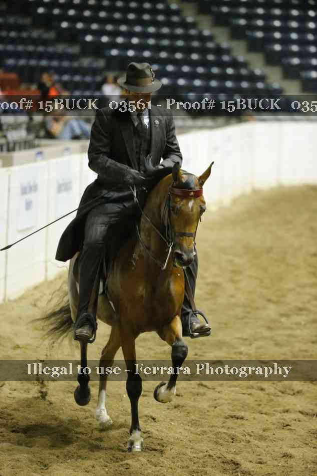 Proof 15BUCK_03561