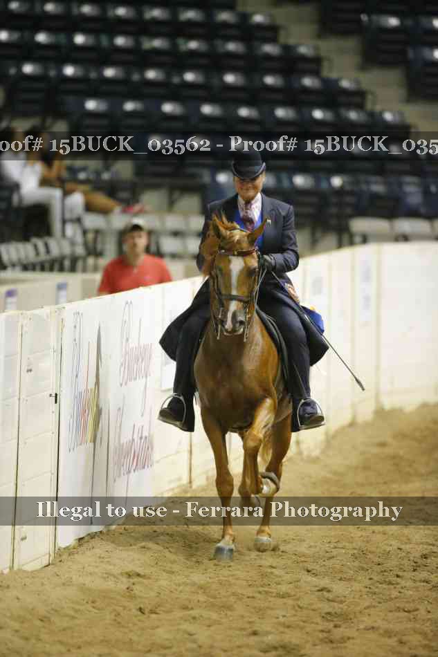 Proof 15BUCK_03562