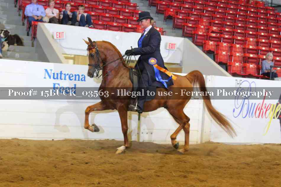 Proof 15BUCK_03563