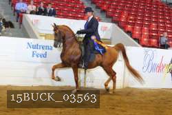 15BUCK_03563 proof