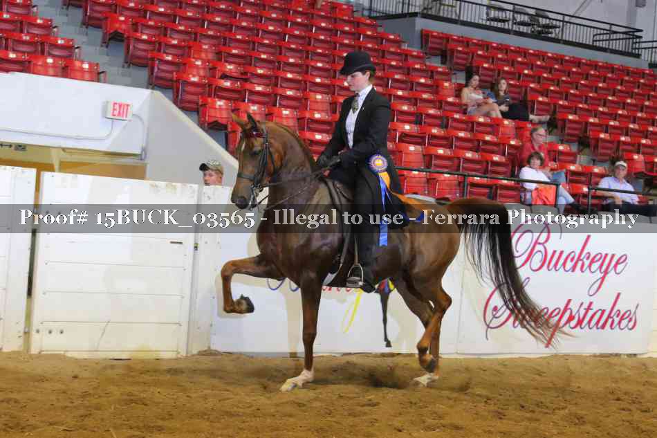 Proof 15BUCK_03565