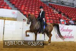 15BUCK_03565 proof