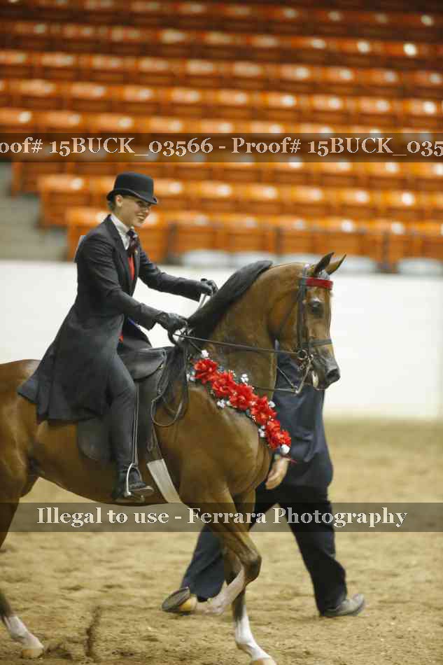 Proof 15BUCK_03566