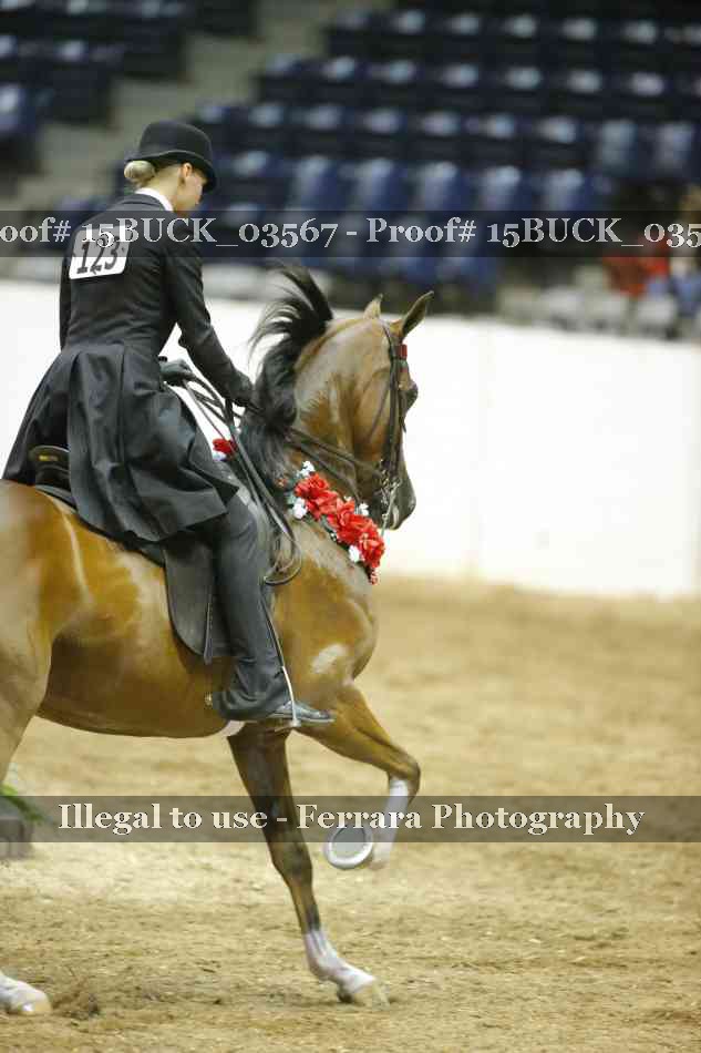 Proof 15BUCK_03567