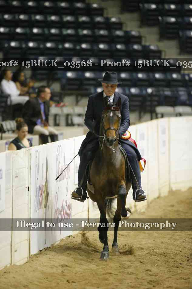 Proof 15BUCK_03568