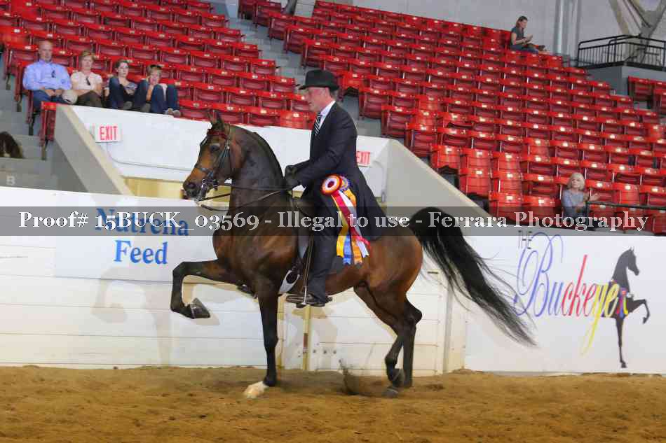 Proof 15BUCK_03569