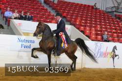 15BUCK_03569 proof
