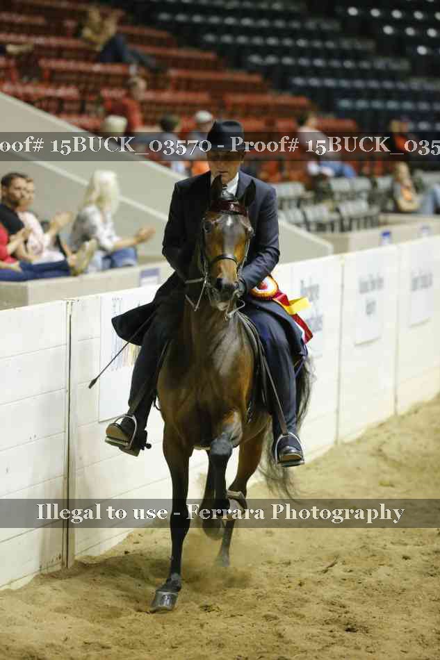 Proof 15BUCK_03570