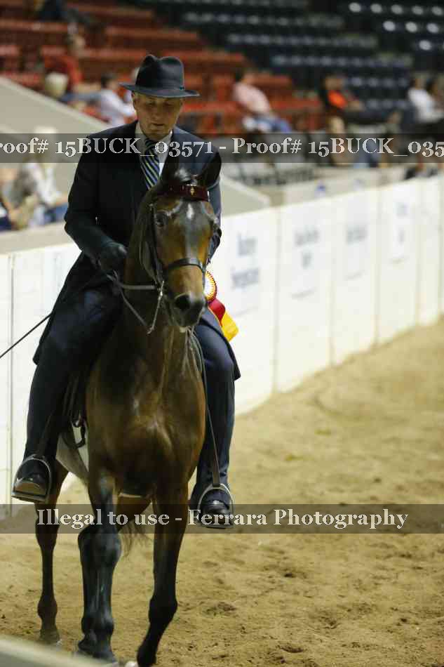 Proof 15BUCK_03571