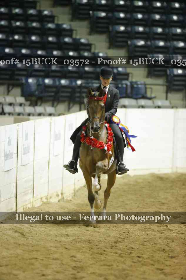 Proof 15BUCK_03572