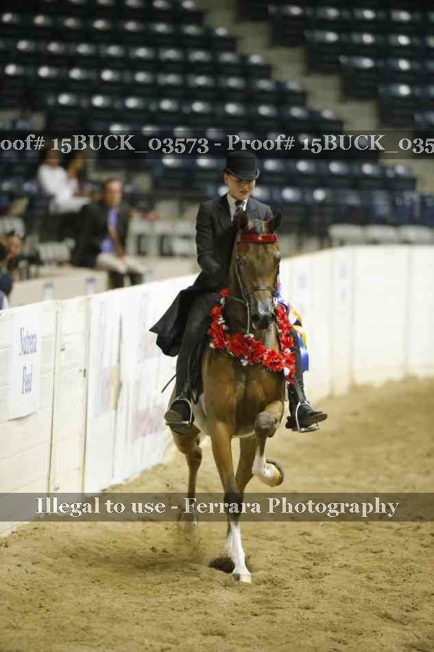 Proof 15BUCK_03573