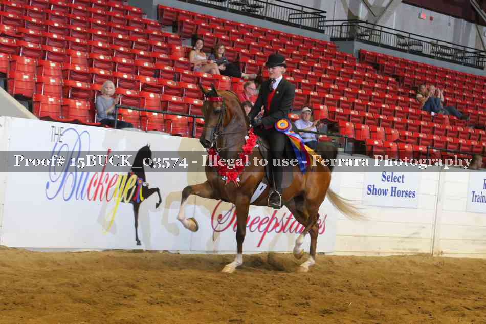 Proof 15BUCK_03574