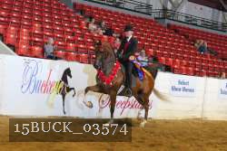 15BUCK_03574 proof