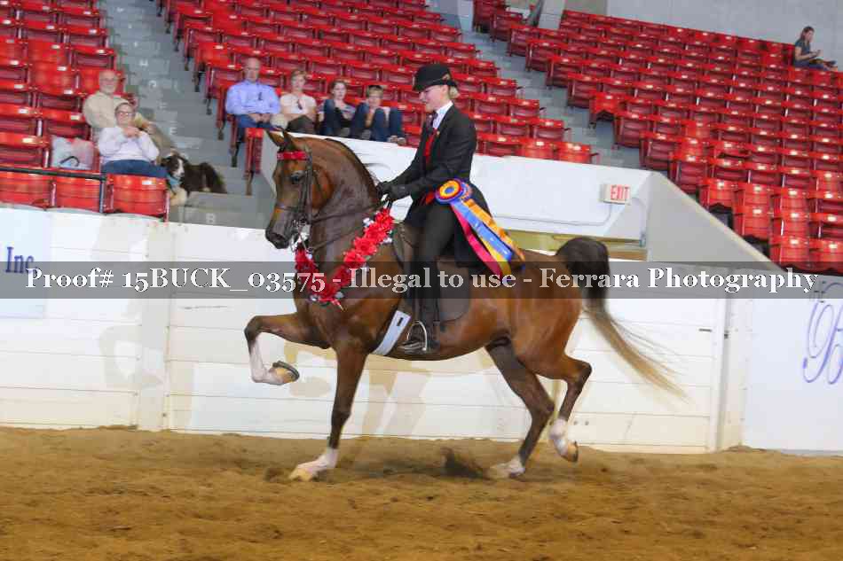 Proof 15BUCK_03575