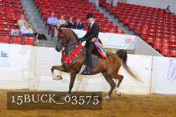 15BUCK_03575 proof