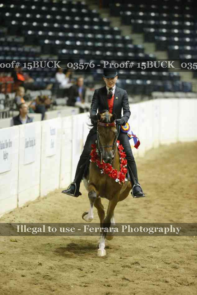 Proof 15BUCK_03576