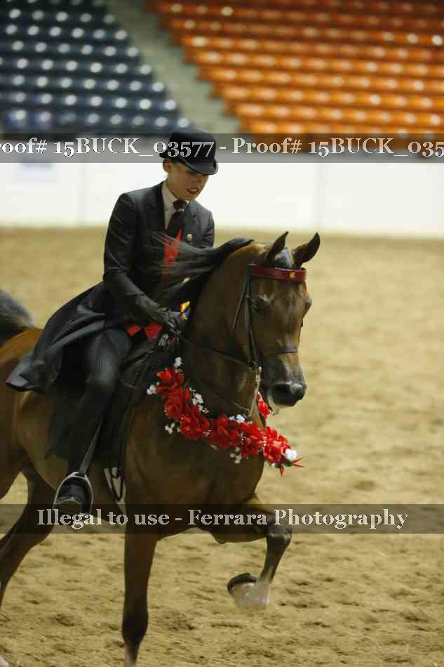 Proof 15BUCK_03577