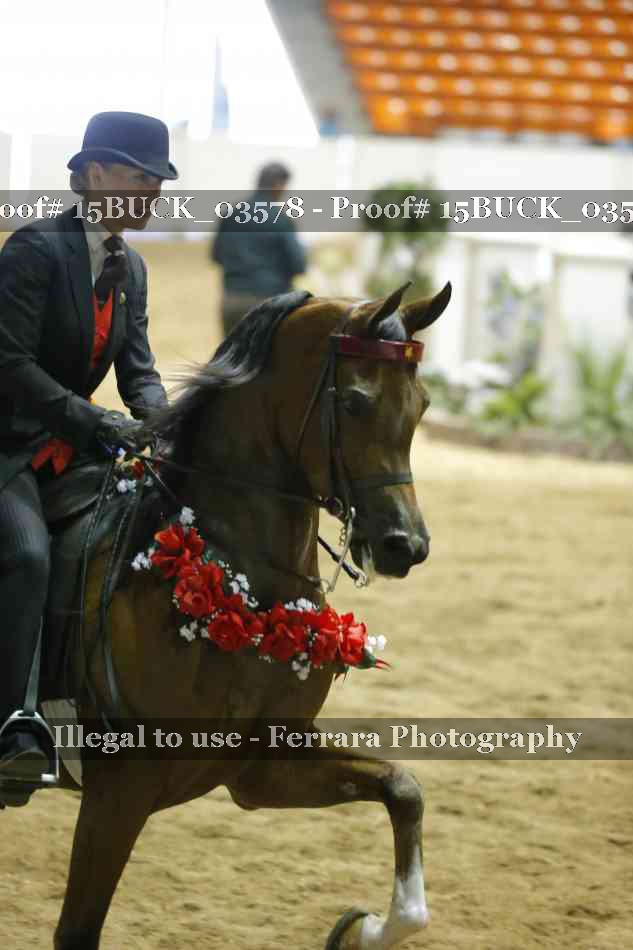 Proof 15BUCK_03578