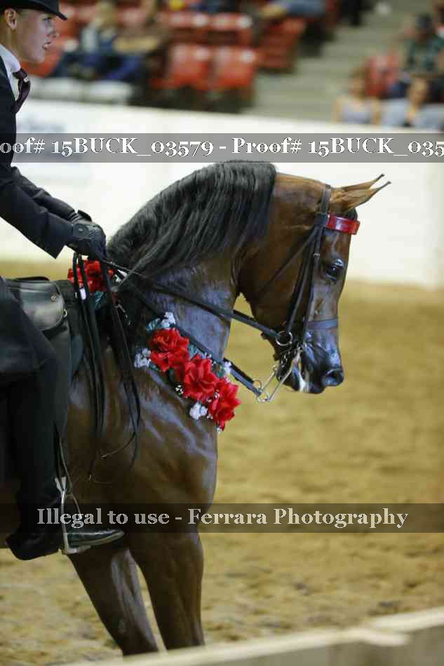 Proof 15BUCK_03579