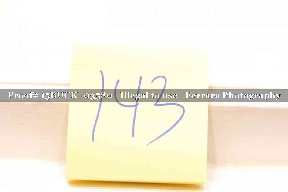 Proof 15BUCK_03580