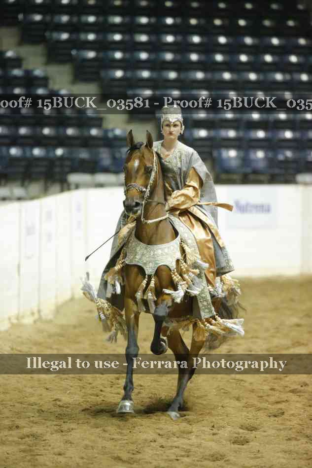 Proof 15BUCK_03581
