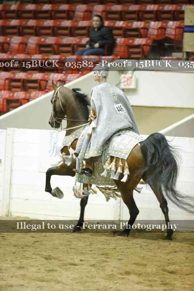 Proof 15BUCK_03582