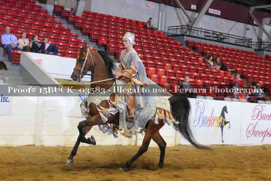Proof 15BUCK_03583