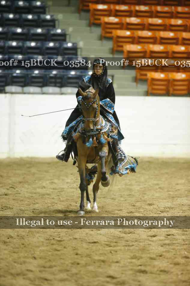 Proof 15BUCK_03584