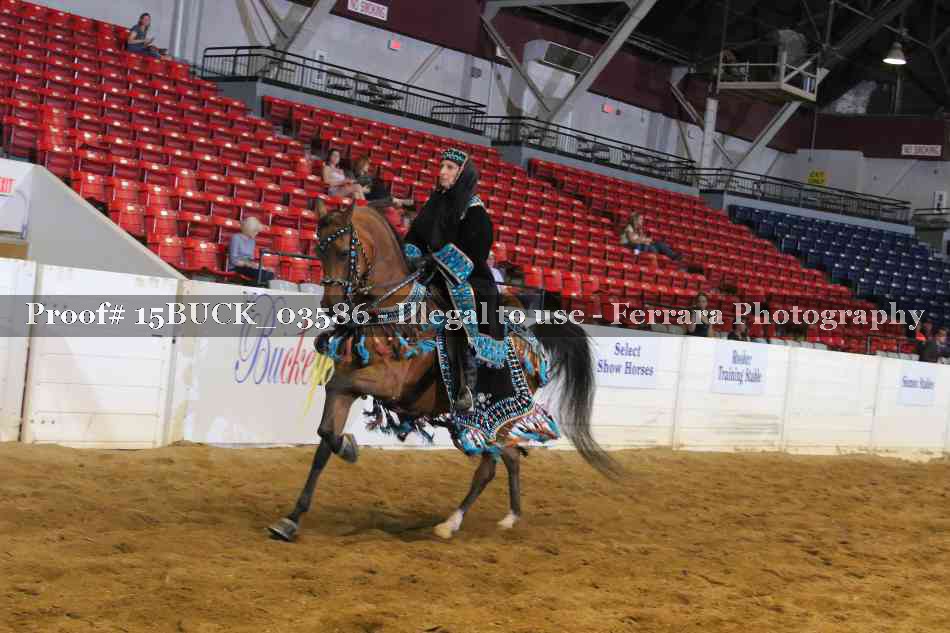 Proof 15BUCK_03586