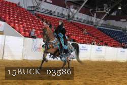 15BUCK_03586 proof