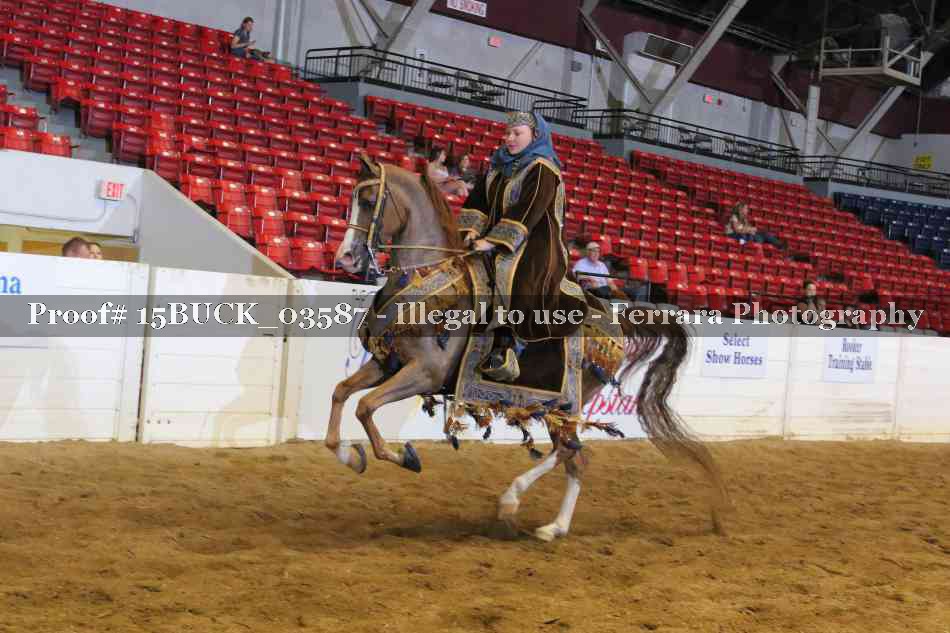 Proof 15BUCK_03587
