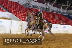 15BUCK_03587 proof