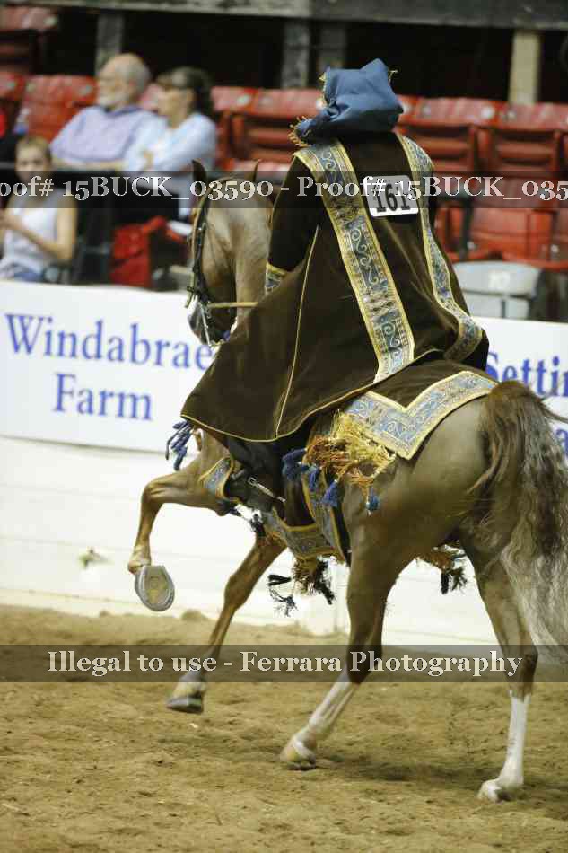 Proof 15BUCK_03590
