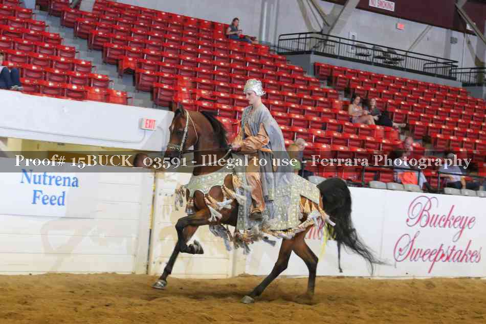 Proof 15BUCK_03591