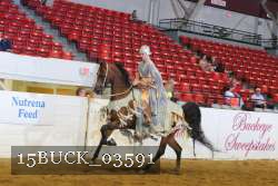 15BUCK_03591 proof
