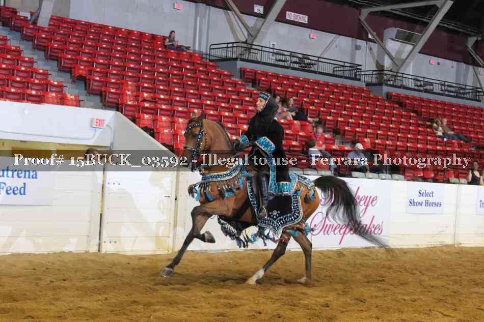 Proof 15BUCK_03592