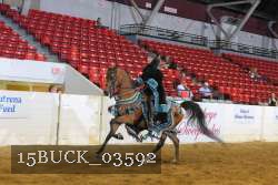 15BUCK_03592 proof