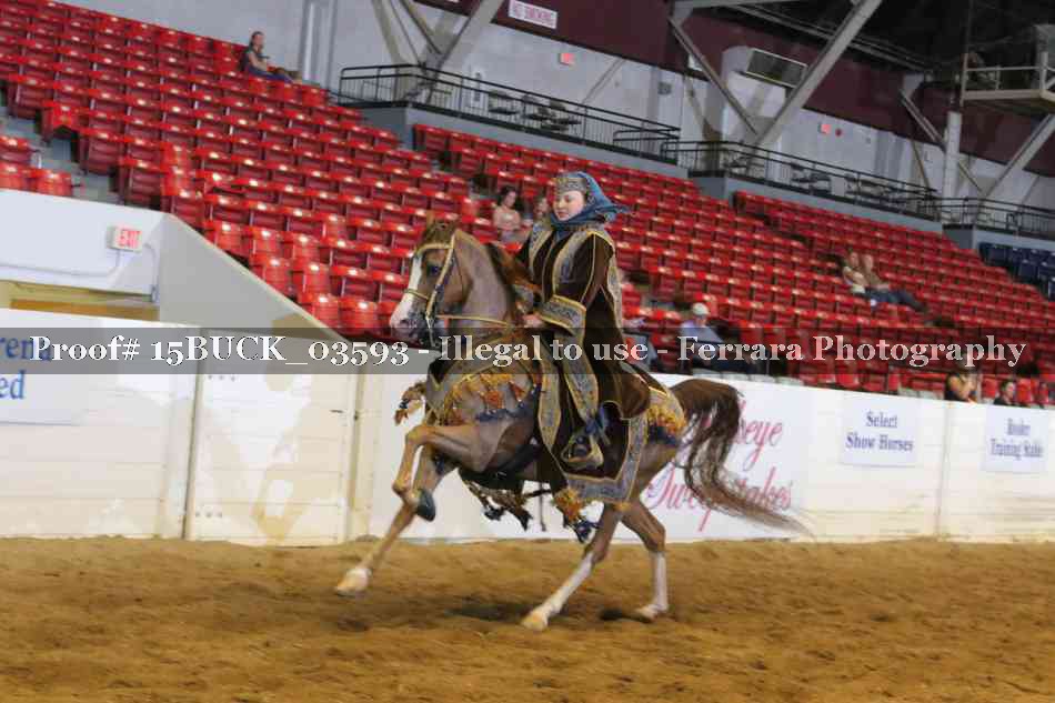 Proof 15BUCK_03593