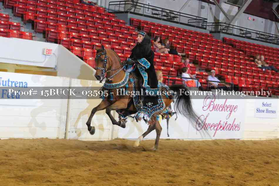 Proof 15BUCK_03595