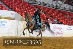 15BUCK_03595 proof