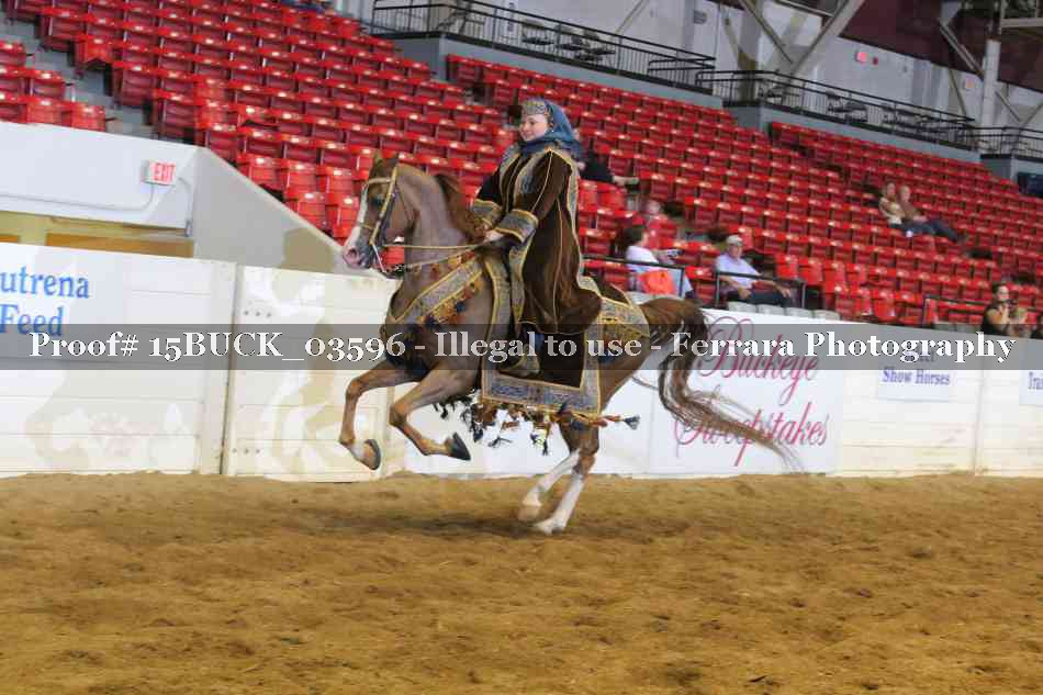 Proof 15BUCK_03596