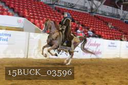 15BUCK_03596 proof