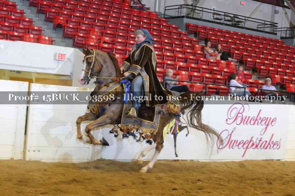 Proof 15BUCK_03598