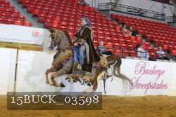 15BUCK_03598 proof