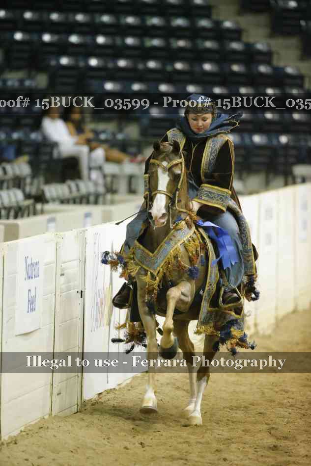 Proof 15BUCK_03599