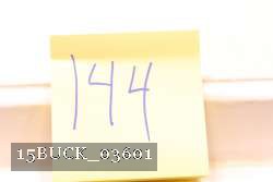 15BUCK_03601 proof