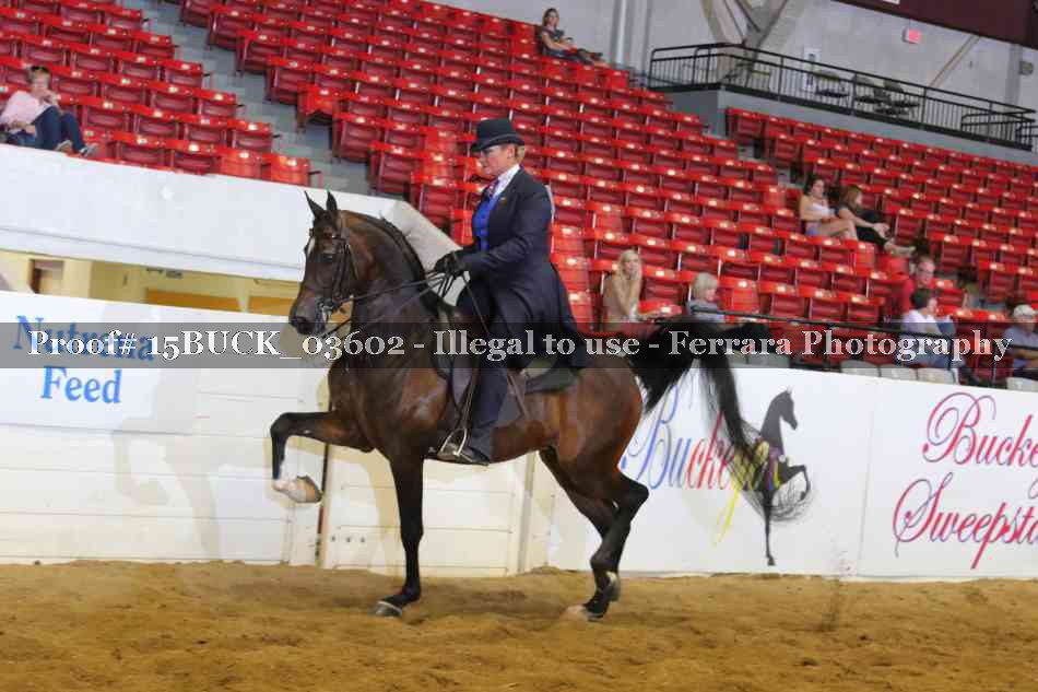 Proof 15BUCK_03602